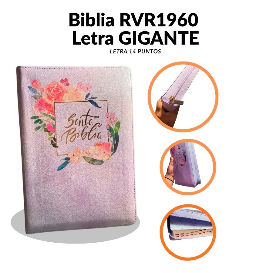 Biblia RVR 1960 Letra Gigante (14 Puntos) – Edición Limitada Morada con Cierre