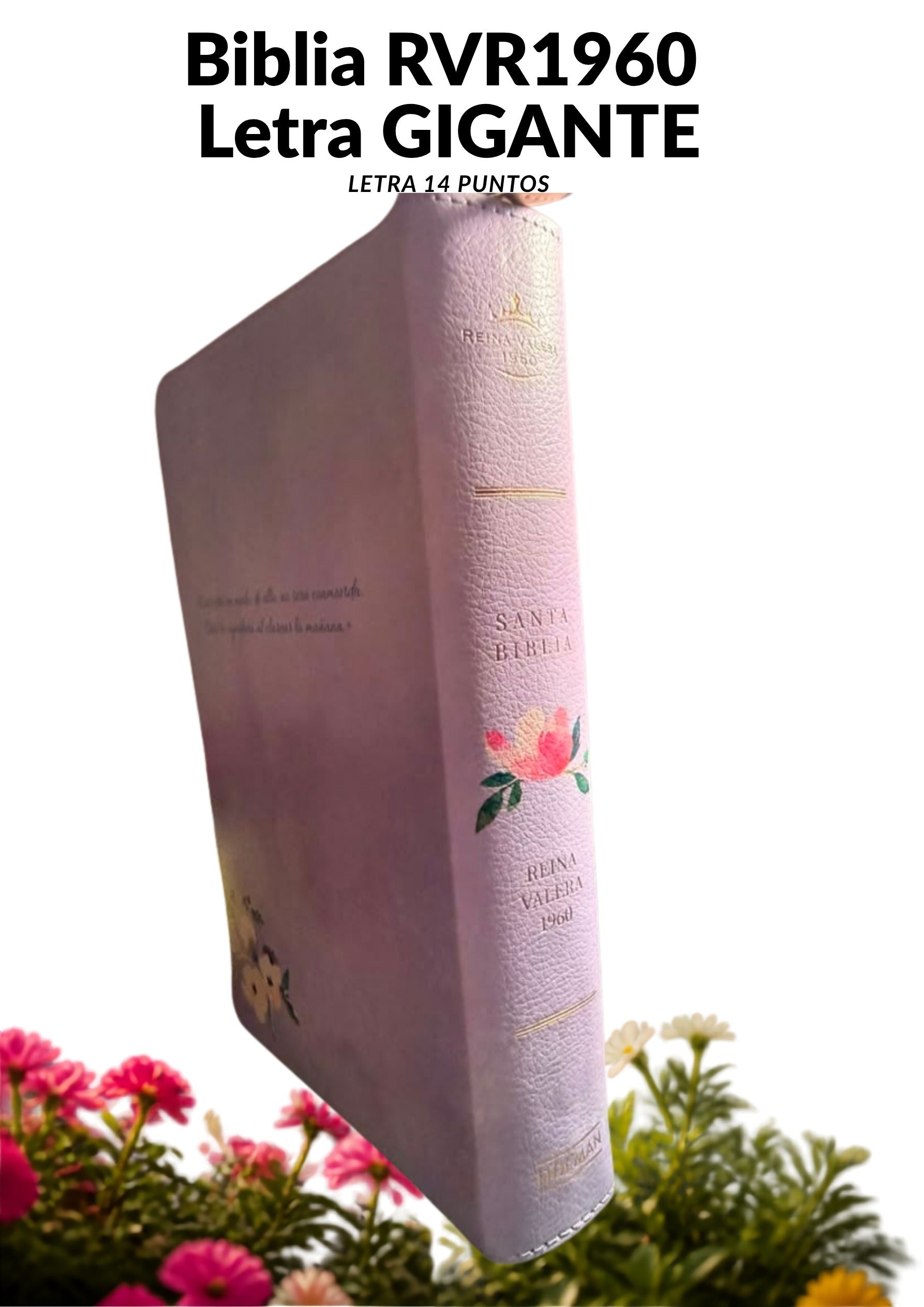 Biblia RVR 1960 Letra Gigante (14 Puntos) – Edición Limitada Morada con Cierre
