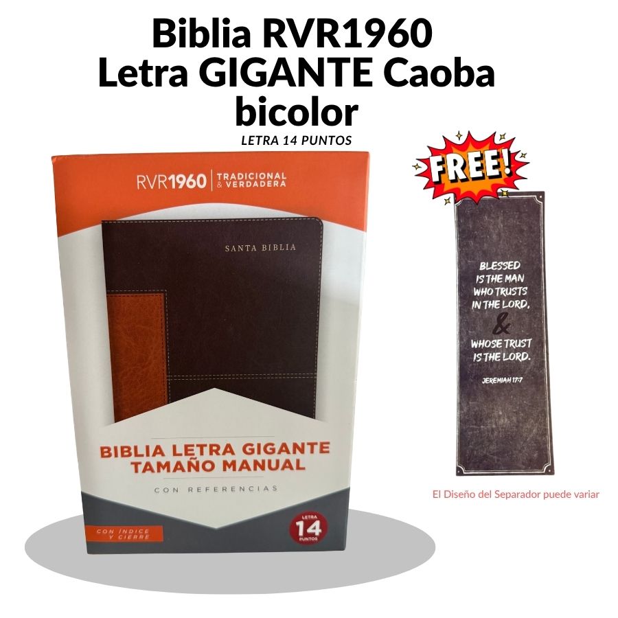 Biblia RVR 1960 Letra Gigante (14 Puntos) – Edición Limitada Marrón/Caoba Bicolor con Cierre (Holman)