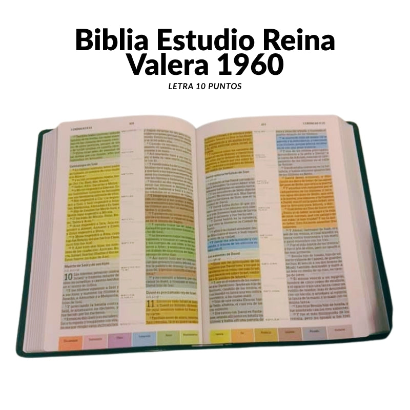 Estudio Arcoíris RVR 1960 Negro Símil Piel – Edición Premium de Lujo con Sistema de Colores (Letra 10)