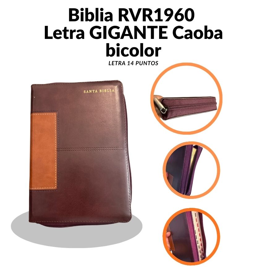 Biblia RVR 1960 Letra Gigante (14 Puntos) – Edición Limitada Marrón/Caoba Bicolor con Cierre (Holman)