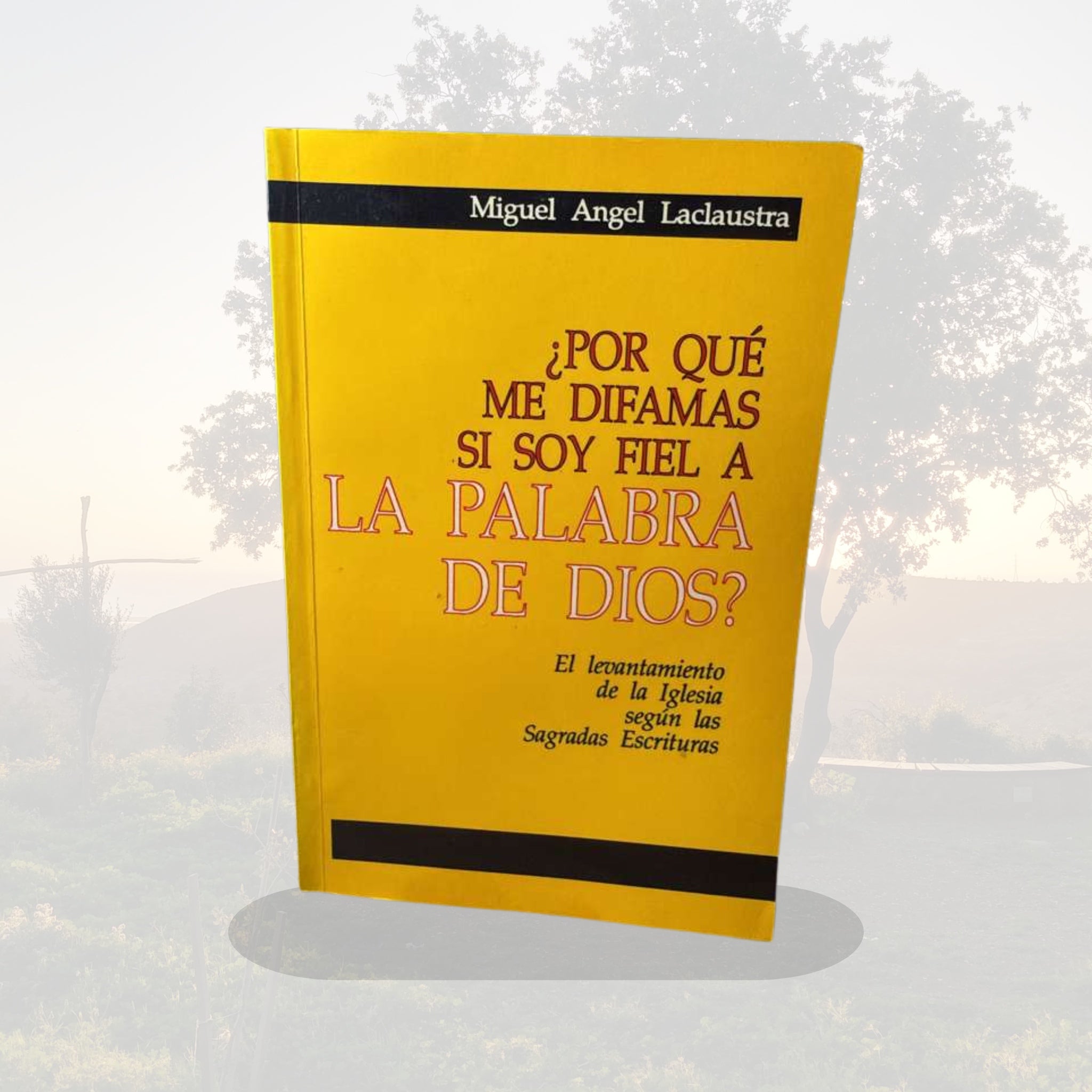 ¿Por qué me difamas si soy fiel a la Palabra de Dios? - BOOK