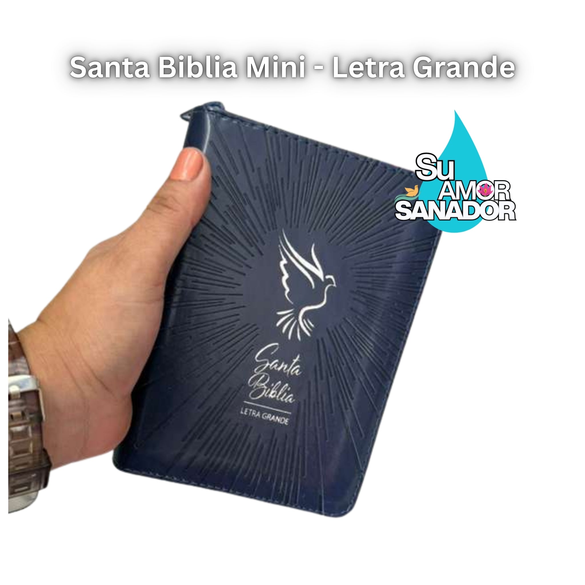 Santa Biblia (mini) Letra GRANDE RVR 1960
