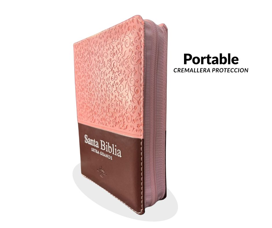 Mini Biblia Reina Valera 1960 - Letra Grande (Edición Duotono Rosa/Marrón)
