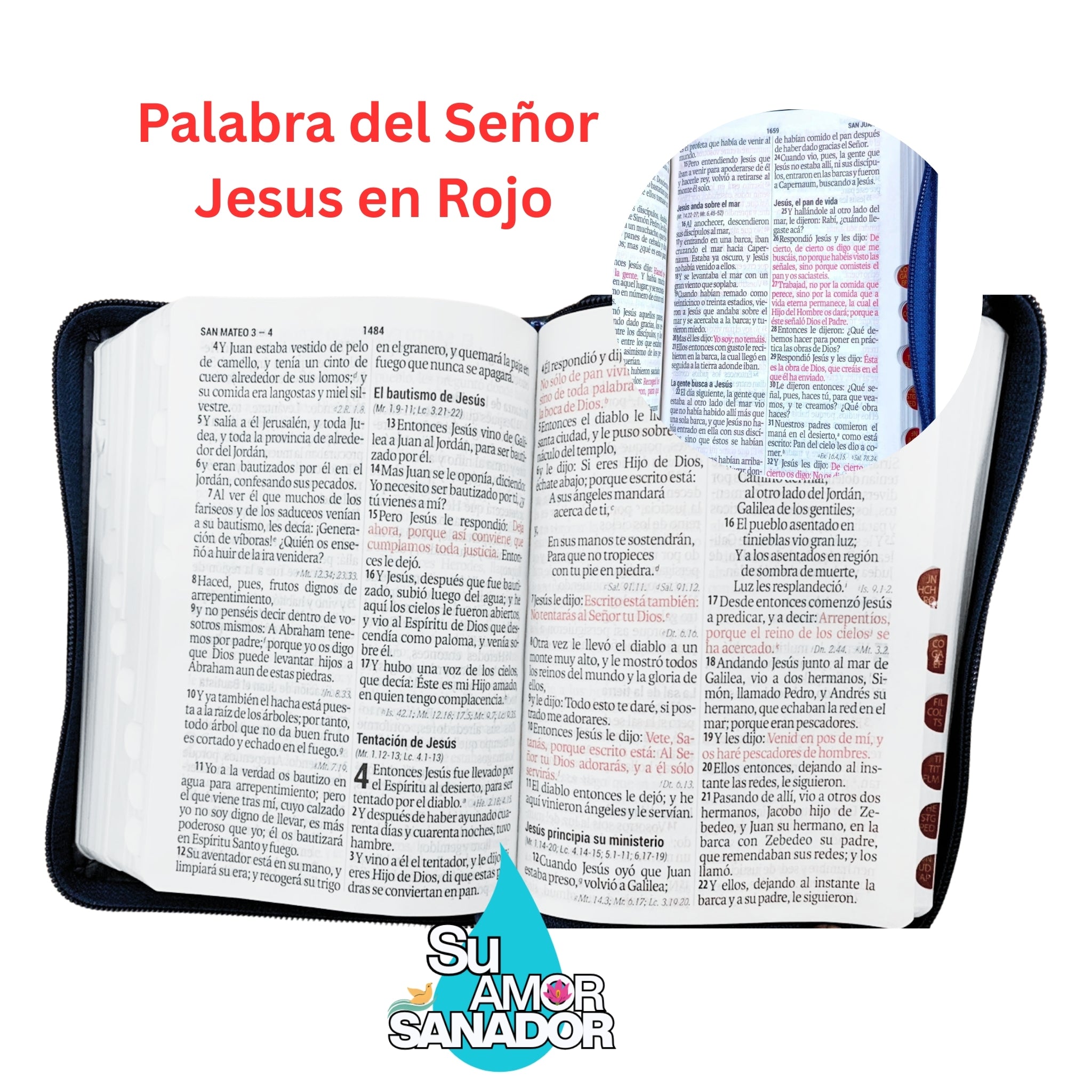 Santa Biblia (mini) Letra GRANDE RVR 1960