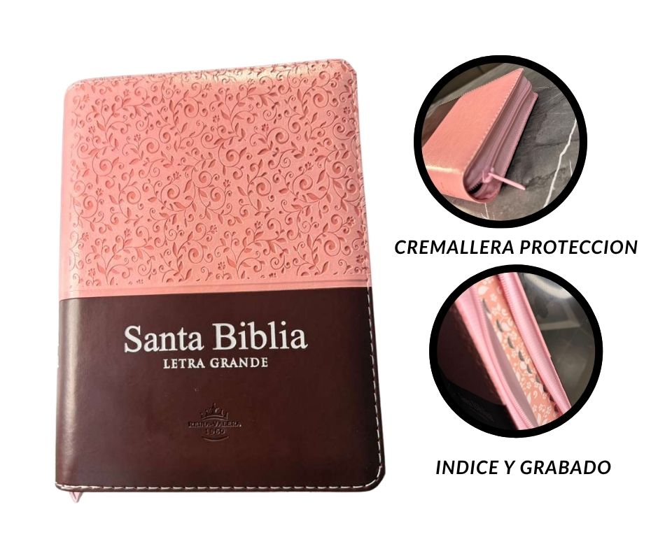 Mini Biblia Reina Valera 1960 - Letra Grande (Edición Duotono Rosa/Marrón)