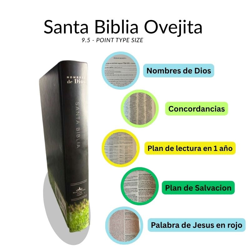 Santa Biblia Ovejita RVR 1960 – Letra 9.5 Puntos (Palabras de Jesús en Rojo)