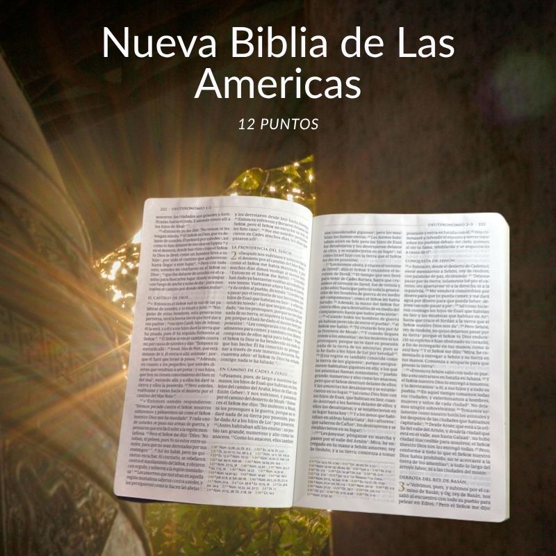 Biblia Temática de Estudio NBLA – Dr. Miguel Núñez (Simil Piel, Letra 12 Puntos)