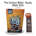The Action Bible Study Bible ESV – God's Word in Living Color (10 Point Font)