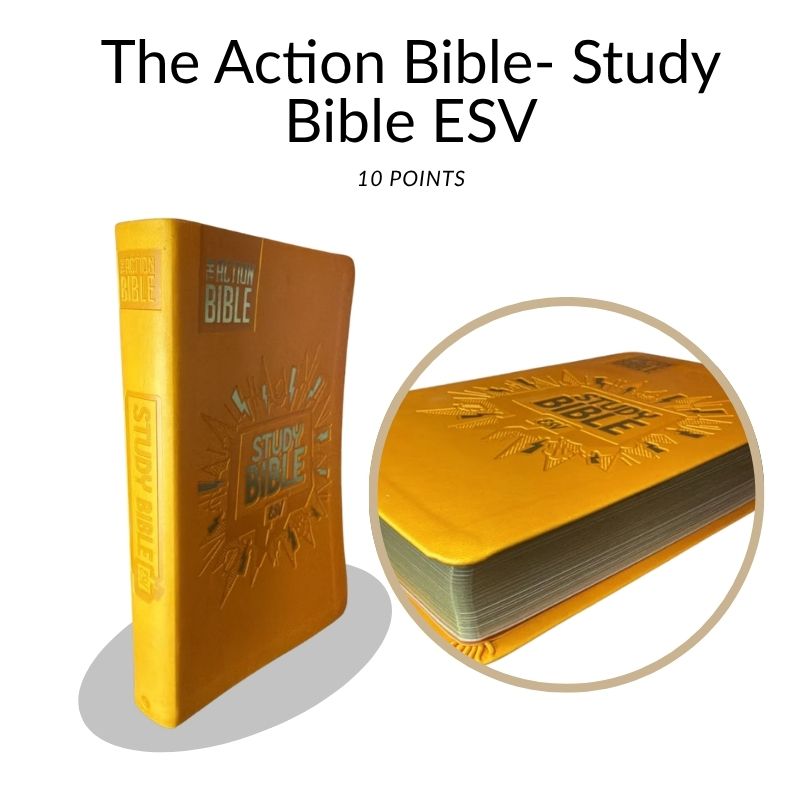 The Action Bible Study Bible ESV – God's Word in Living Color (10 Point Font)