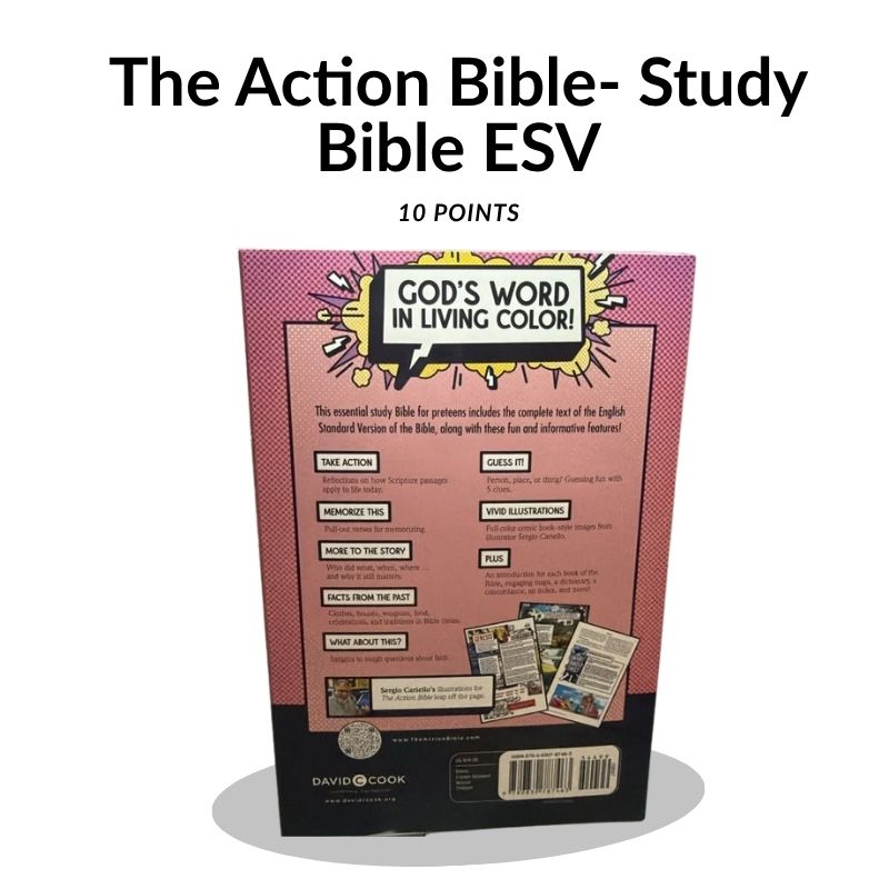 The Action Bible Study Bible ESV – Pink Graphic Edition (10 Point Font)