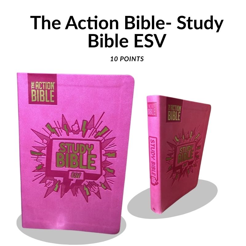 The Action Bible Study Bible ESV – Pink Graphic Edition (10 Point Font)