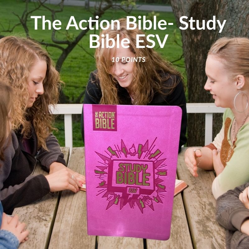 The Action Bible Study Bible ESV – Pink Graphic Edition (10 Point Font)