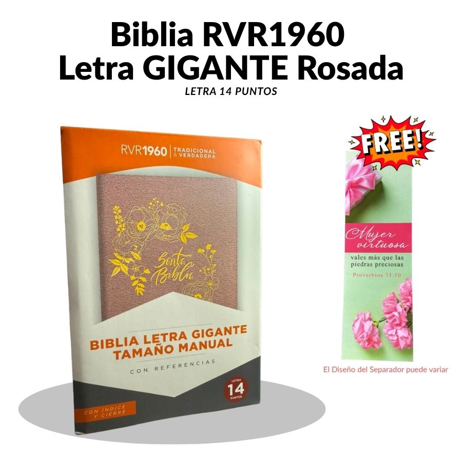 Biblia RVR 1960 Letra Gigante (14 Puntos) – Edición Limitada Rosada con Cierre