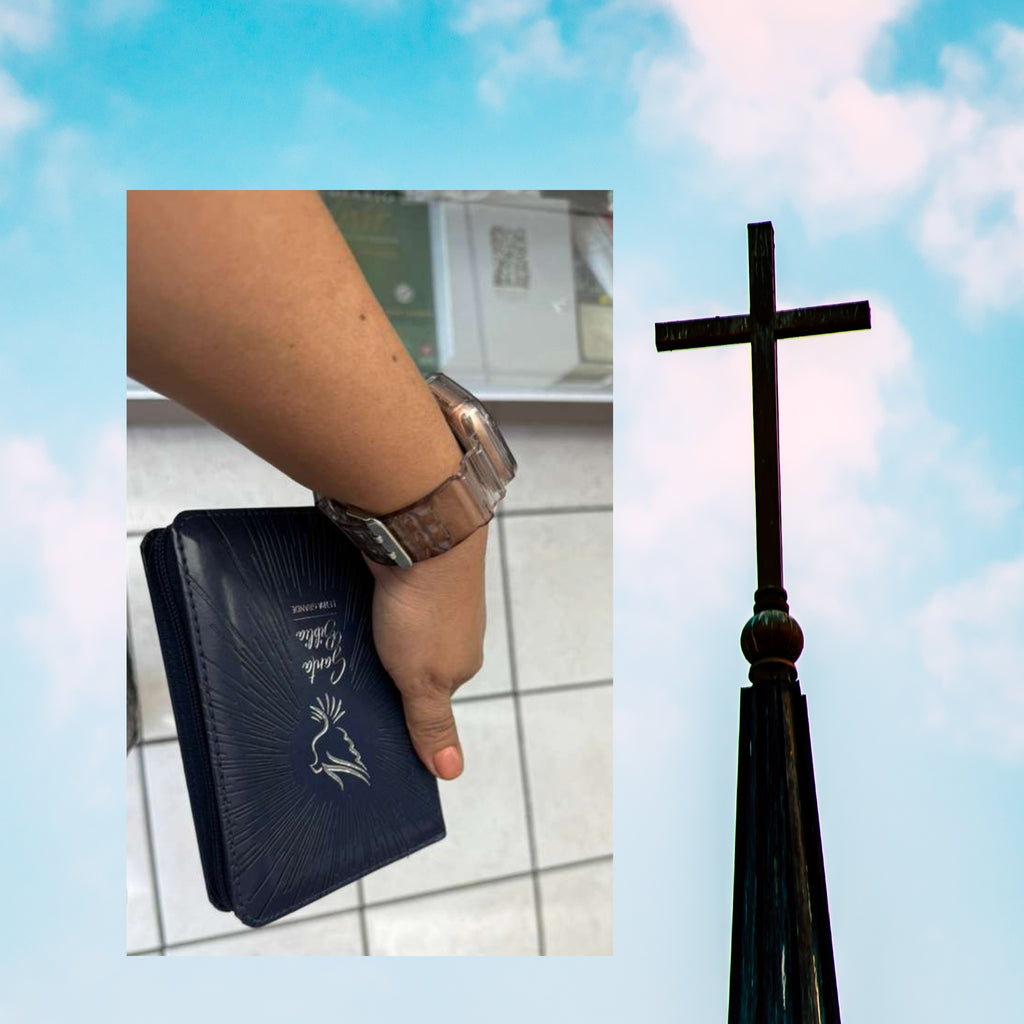 Santa Biblia (mini) Letra GRANDE RVR 1960