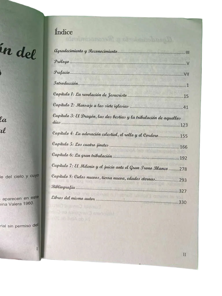 Mi interpretacion de Apocalipsis